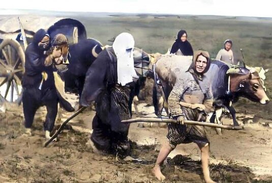 Zločin u Šahovićima kod Bijelog Polja.jpg