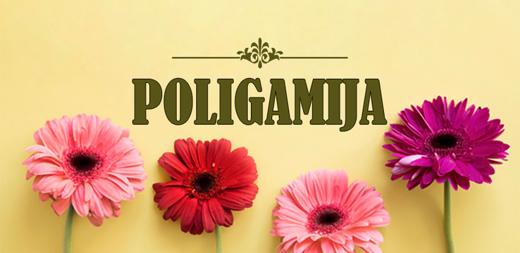 Višeženstvo (Poligamija).png