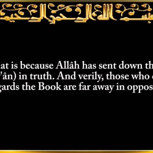 2. Surat Al-Baqarah (The Cow)