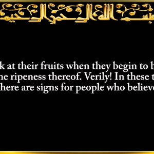 6. Surat Al-'An`ām (The Cattle)