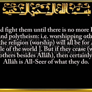 8. Surat Al-'Anfāl (The Spoils of War)