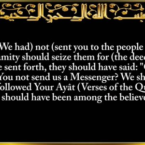 028. Surat Al-Qaşaş (The Stories)