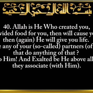 030. Surah Ar-Rum