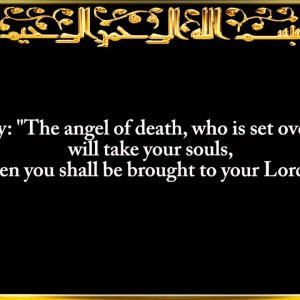 032. Surah As-Sajdah (The Prostration)