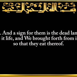 036. Surah Ya-Sin
