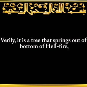037. Surah As-Saffaat (Those Arranged in Ranks)