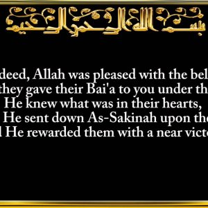 048. Surah Al-Fath (The Victory)