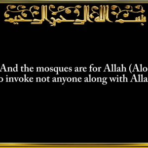 072. Surah Al-Jinn (The Jinn)