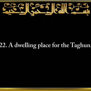 078. Surah An-Naba' (The Great News)