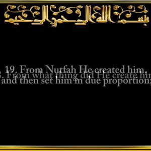 080. Surah Abasa (He frowned)