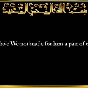 090. Surah Al-Balad (The City)