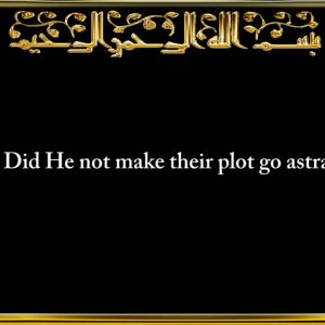 105. Surah Al-Feel (The Elephant)