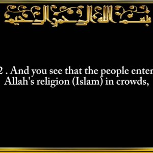 110. Surah An-Nasr (The Help)