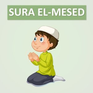 08 Sura Mesed