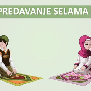 28. Predavanje selama